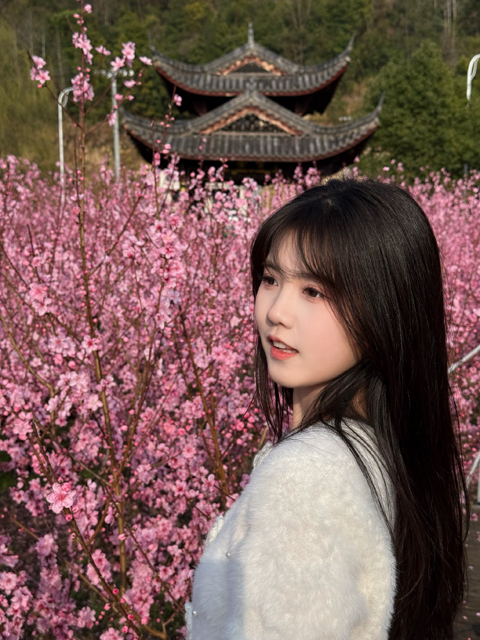 如何提升内容页参与排名的可能性