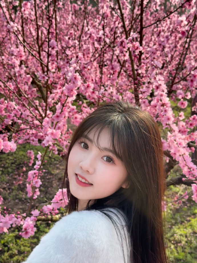 能否提升收录质量？