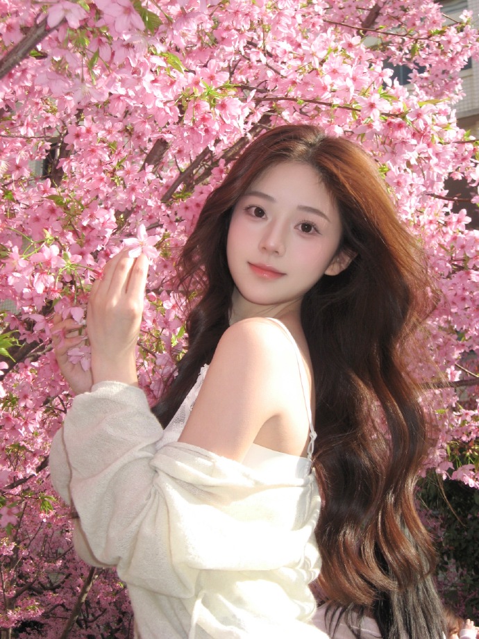 能否提升收录质量？